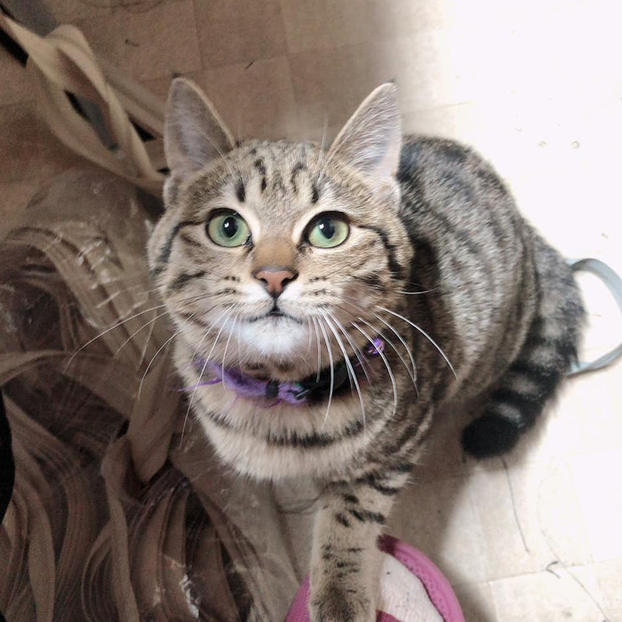 Ảnh: Linh Thùy Đỗ