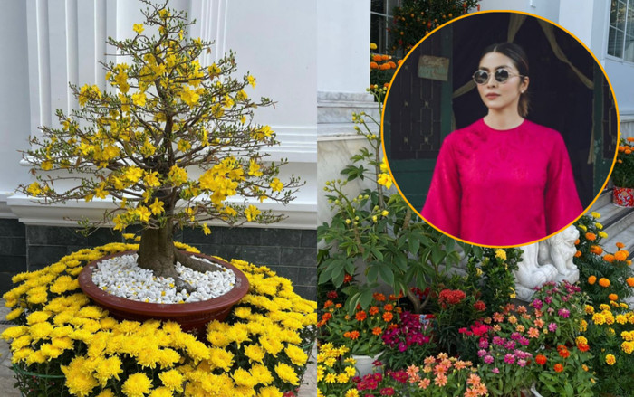 Tăng Thanh Hà khoe khung cảnh 'ngập sắc xuân' dịp Tết nguyên đán trong biệt thự trăm tỷ Ảnh 2