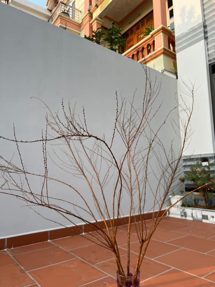 Xịt nước b1 thật lực nhưng chưa thấy gì - FB: A.T