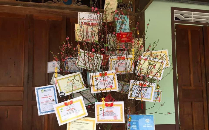 Hội học sinh trang trí mai đào ngày Tết, khách đến chơi nhà nhất định sẽ lì xì Ảnh 2