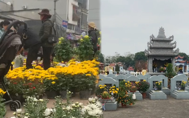 Hoa Tết bị ép giá, cuối ngày chàng trai mang hết đến nơi an nghỉ cho các cụ Ảnh 2