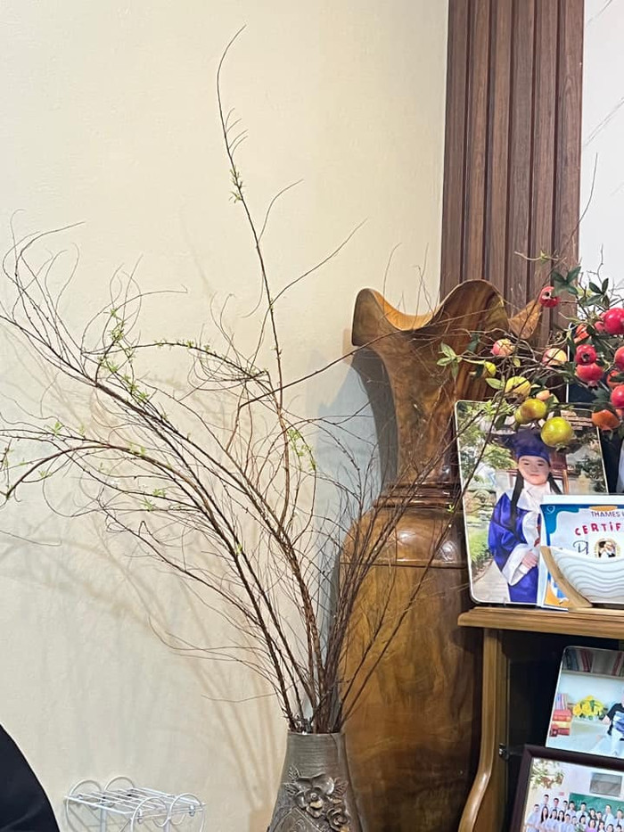 Cô gái này chia sẻ, dù đã chăm sóc tuyết mai 28 ngày nhưng quả thực tuyết mai vẫn đang ngủ đông. Ảnh: Bống Xinh