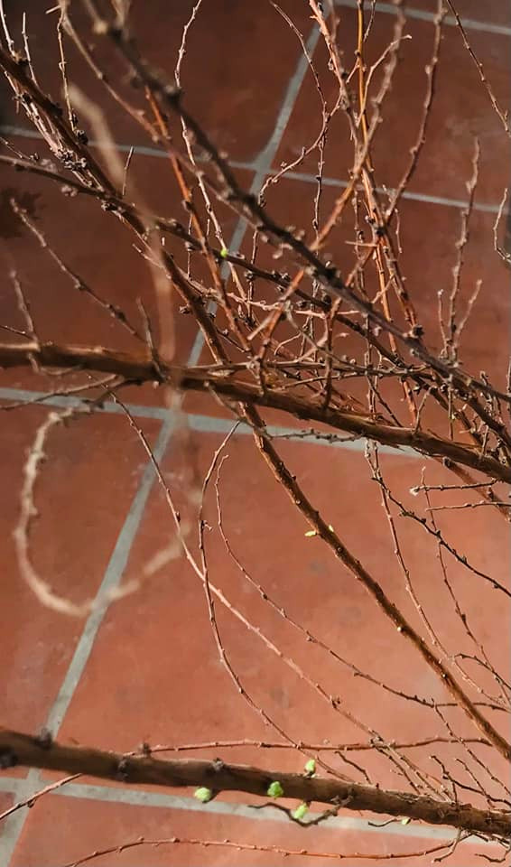 'Chắc chắn không mua lần thứ 2'. Ảnh: Hưng Thảo