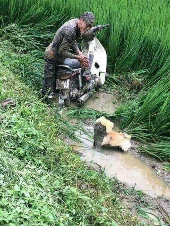 Gái xinh có pha chúc Tết 'đi vào lòng đất' khiến dân tình vừa thương vừa buồn cười Ảnh 7