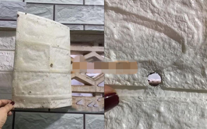 Đi vứt rác, cô gái trẻ tá hỏa phát hiện nguy hiểm rình rập ở phía sau nhà tắm phòng trọ Ảnh 2