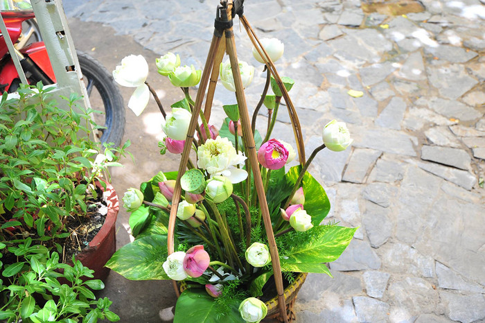 Biểu tượng hoa sen giống với danh xưng 'O Sen' của ca sĩ Ngọc Mai