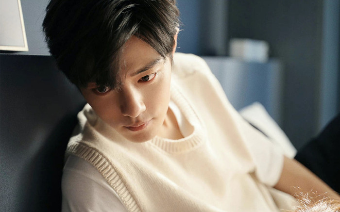 Tiêu Chiến chính thức công khai tình cảm với một sao nữ cùng ngành Ảnh 2