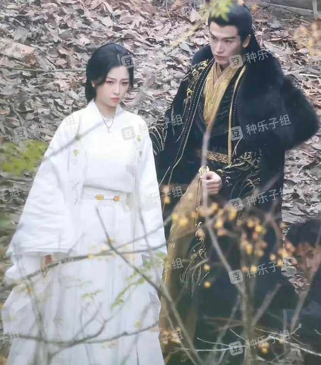 Nhiều khả năng Trương Lăng Hách chỉ đang “kiếm nhiệt” cho bộ phim sắp tới của mình và Ngu Thư Hân. Tuy nhiên cũng có thể nam diễn viên đã thực sự chia tay Bạch Lộc.