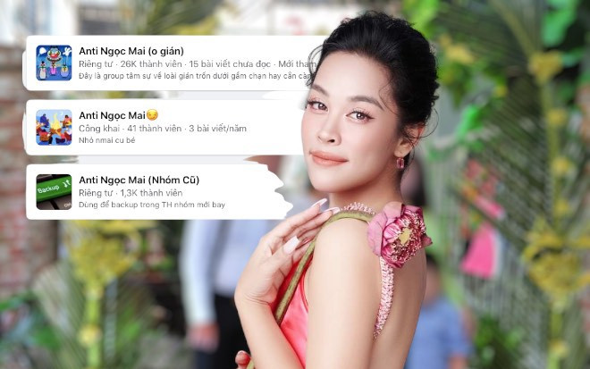 Hội nhóm 'anti' ca sĩ Ngọc Mai mọc lên nhanh như nấm sau loạt thị phi Ảnh 2