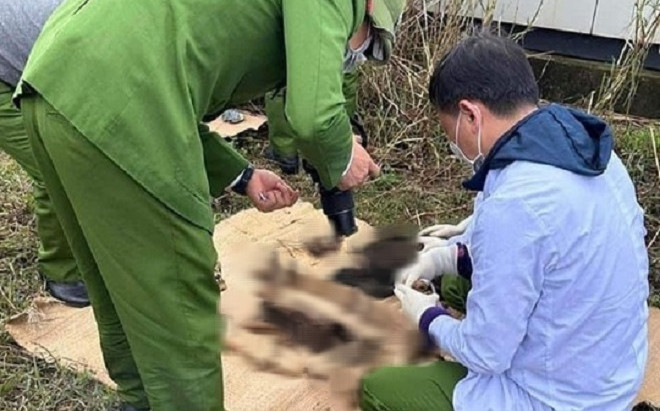 Ngang qua bụi cây trong khu đất vàng nghìn tỷ, người dân phát hiện cảnh tượng 'kinh hãi' Ảnh 2