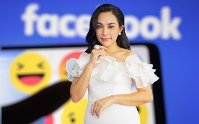 Từ loạt ồn ào của ca sĩ Ngọc Mai: Nếu không yêu thương, đừng nói lời cay đắng Ảnh 2