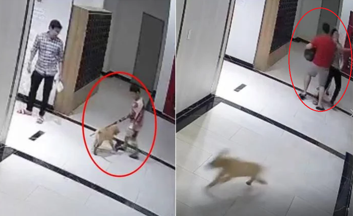 Người cha bị chủ chó đánh ở sảnh chung cư: Sức khỏe dần ổn định nhưng quyết không hòa giải Ảnh 1