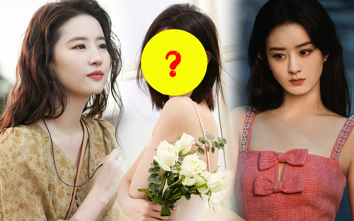 Từng bao biện phim rating thấp vì chiếu đài nhỏ, Triệu Lệ Dĩnh - Lưu Diệc Phi bị chị gái Bạch Lộc vả mặt Ảnh 2