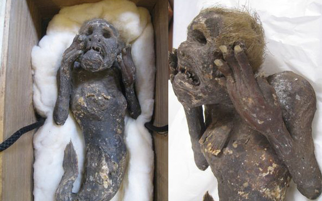 Sự thật ngã ngửa về xác ướp 'nàng tiên cá' 300 năm tuổi sau khi xét nghiệm ADN, chụp X quang và CT Ảnh 2