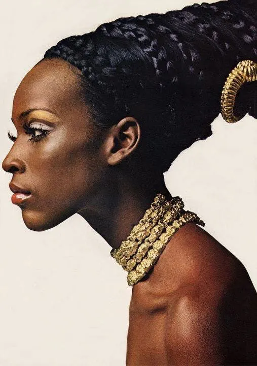 Được công nhận là siêu mẫu người Mỹ gốc Phi đầu tiên, Naomi Sims đã bắt đầu làm người mẫu từ những năm 60 và là một trong những người đầu tiên ký hợp đồng với Wilhelmina Models.