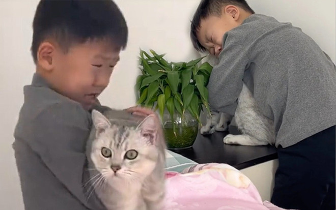 Cậu bé ôm chặt mèo cưng, nức nở: 'đừng rụng lông nữa, anh xin em đấy' và lý do đẫm nước mắt phía sau Ảnh 2