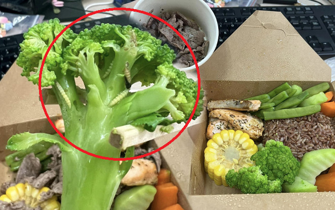 Đặt đồ ăn Healthy, nữ khách hàng 'kinh hồn bạt vía' khi nhận về cả đàn sâu bám đầy rau Ảnh 2
