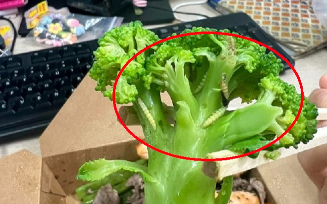 Vụ đặt đồ ăn Healthy nhận về cả đàn sâu trong rau: Phía nhà hàng nói gì? Ảnh 2