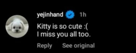 Không phải Hyun Bin, đây mới là nhân vật được Son Ye Jin công khai nói nhớ nhung Ảnh 1