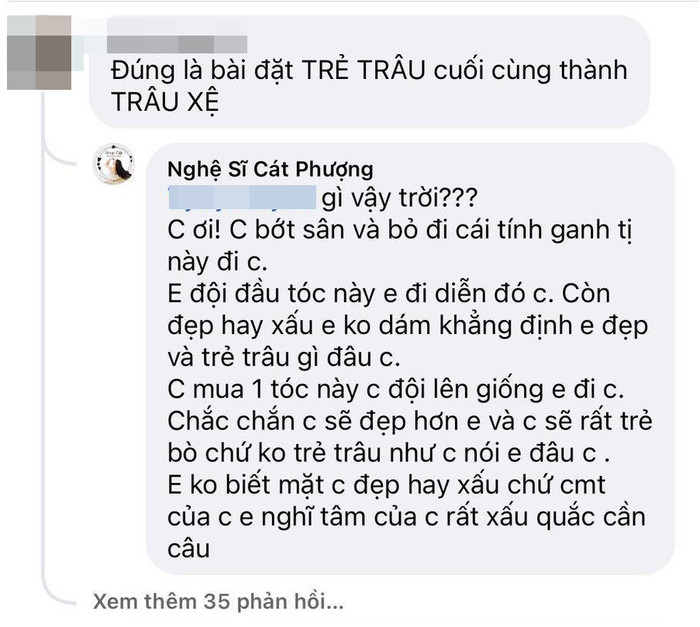 Bị anti-fan chỉ trích thậm tệ, nghệ sĩ Cát Phượng đáp trả cực gắt Ảnh 3