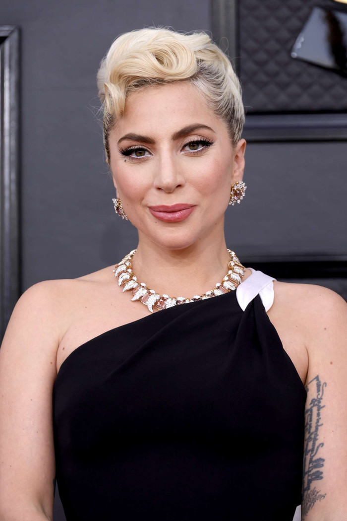 Lady Gaga bị một người phụ nữ khởi kiện.