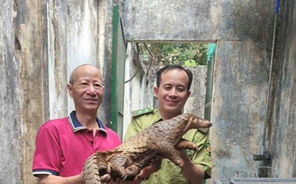 Nghe tiếng động lạ trên mái tôn, người dân leo lên kiểm tra liền phát hiện điều bất ngờ Ảnh 2