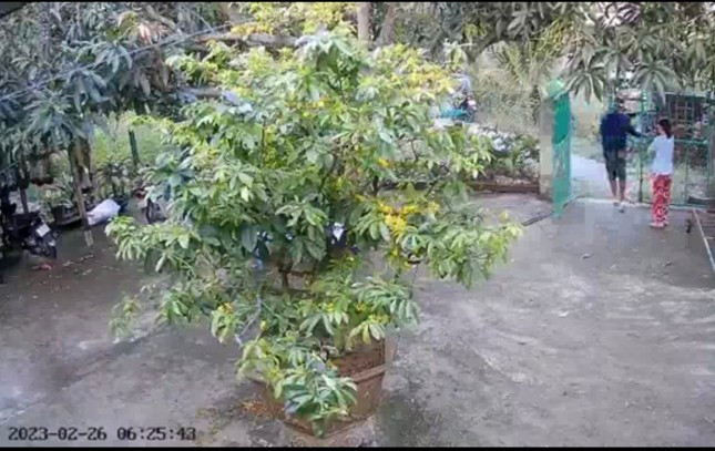 Tưởng người đi lạc vào hỏi đường, nữ chủ nhà không ngờ đến hành động trắng trợn sau đó Ảnh 1