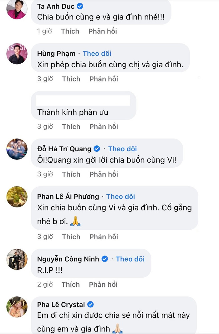 Diễn viên Anh Đức, ca sĩ Ái Phương, diễn viên Hùng Phạm, diễn viên Hà Trí Quang, đạo diễn Công Ninh, ca sĩ Pha Lê đã để lại những lời chia buồn sâu sắc nhất