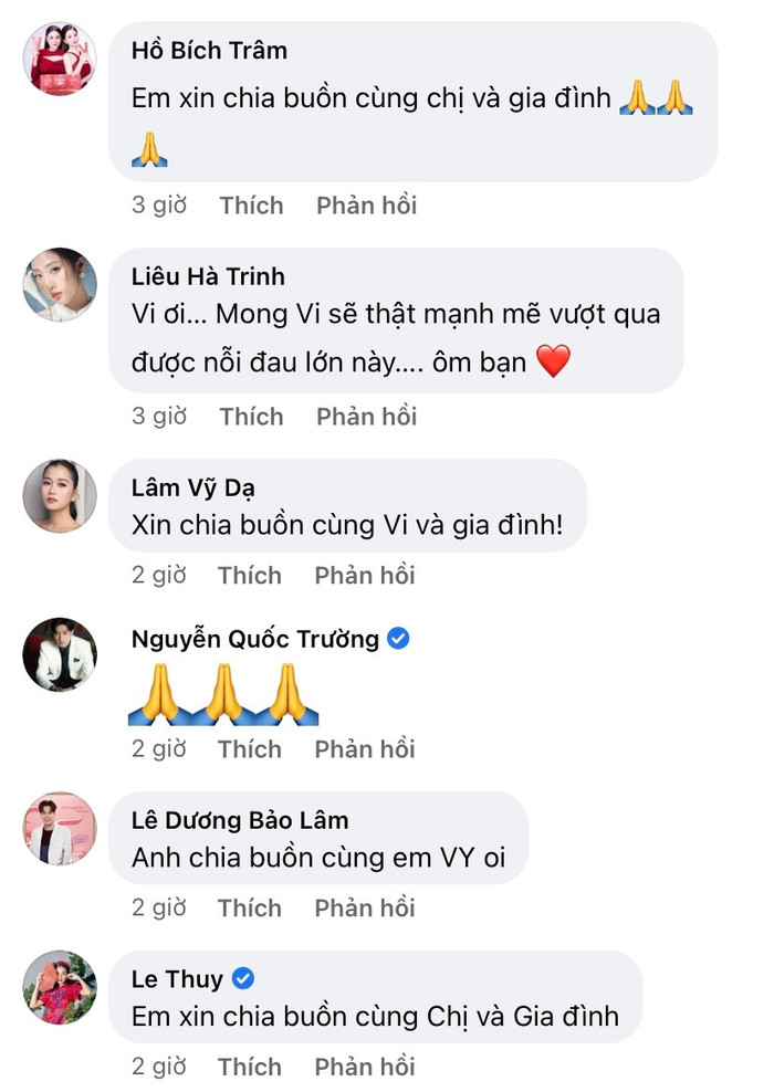 Diễn viên Hồ Bích Trâm, MC Liêu Hà Trinh, diễn viên Lâm Vỹ Dạ, diễn viên Quốc Trường, người mẫu Lê Thúy không giấu khỏi sự thương tiếc trước sự ra đi đột ngột của bố ruột Tường Vi