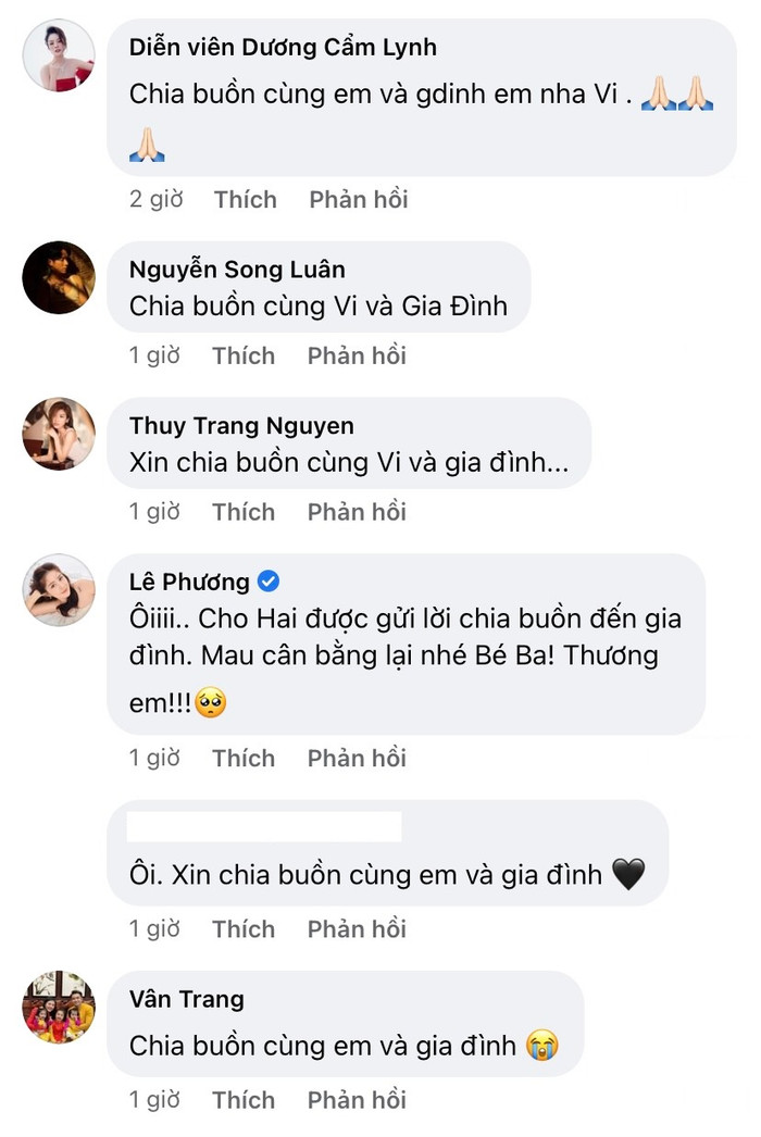 Bên cạnh đó diễn viên Dương Cẩm Lynh, diễn viên Song Luân, ca sĩ Trang Pháp, diễn viên Lê Phương, diễn viên Vân Trang đều hy vọng Tường Vi có thể sớm vượt qua nỗi đau mất người thân
