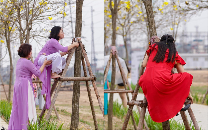 Xôn xao hình ảnh nhiều du khách trèo lên cây hoa phong linh chụp ảnh, tạo ra cảnh tượng ngán ngẩm Ảnh 2