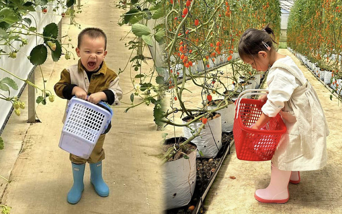 Lisa - Leon nhà Hồ Ngọc Hà trốn học đi chơi, biểu cảm của 'thánh meme' gây chú ý Ảnh 2