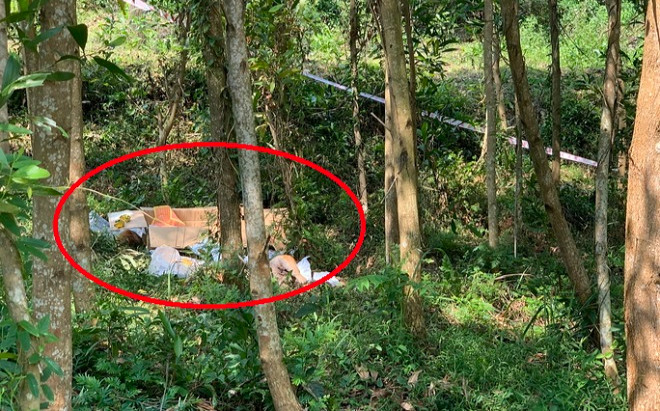 Bên trong thùng carton nghi có thi hài trẻ em bị vứt bỏ, phát hiện sự thật bất ngờ Ảnh 2