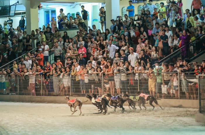 Trường đua chó ở TP Vũng Tàu đóng cửa sau 25 năm hoạt động