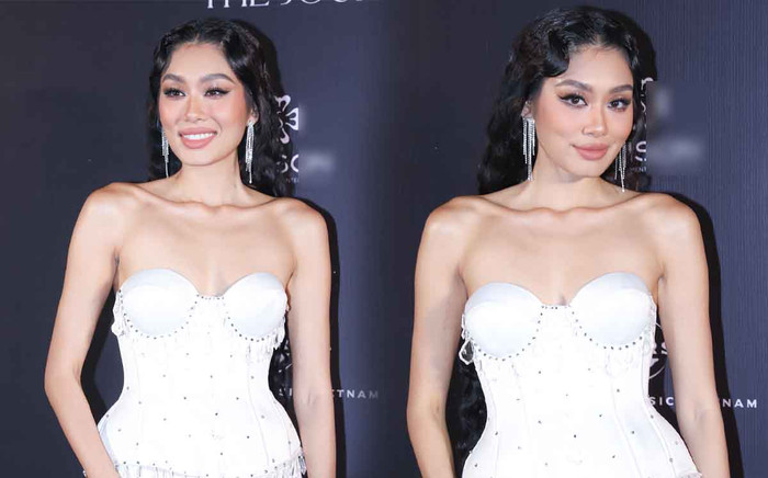 Thảo Nhi Lê tiếc nuối khi vuột mất cơ hội thi quốc tế, hé lộ một suất tham gia đấu trường nhan sắc mới? Ảnh 2