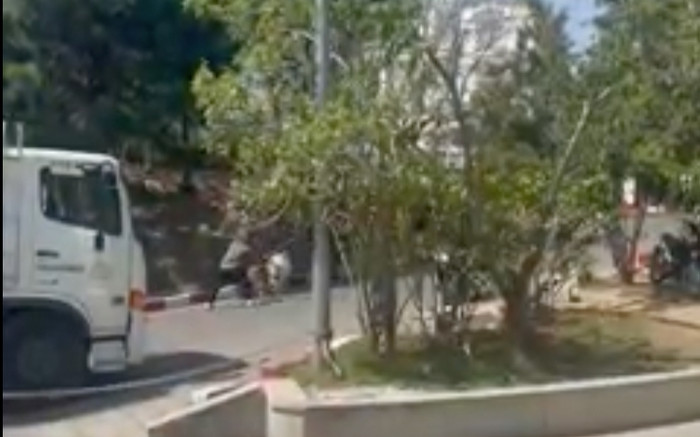 Không chịu đứng nắng chụp ảnh với khách, chú chó Alaska bị chủ đánh đến gãy cây khiến dân tình bức xúc Ảnh 2