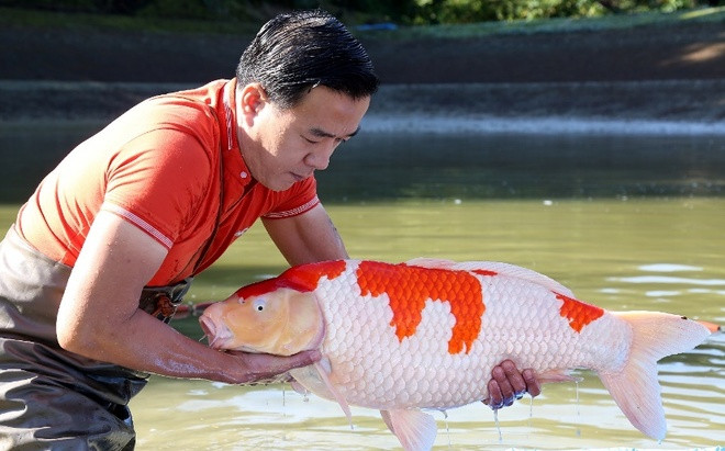 Giữa tin đồn rạn nứt hôn nhân với vợ trẻ, cuộc sống của 'vua cá Koi' Thắng Ngô hiện tại ra sao? Ảnh 2