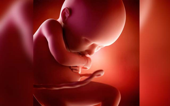 Hy hữu: Phát hiện thai nhi còn sống trong hộp sọ bé 1 tuổi Ảnh 2