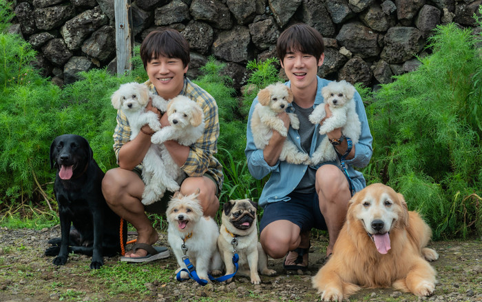 Tìm Nhà Cho 'Boss': Phim chữa lành tâm hồn, cài cắm thông điệp về gia đình, tình yêu động vật Ảnh 2