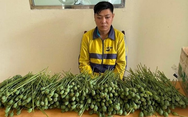 Ung dung mang hơn 5kg cây anh túc bày bán ở cổng trường đại học, thanh niên nhận cái kết thích đáng Ảnh 2