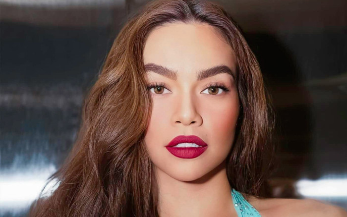 Hồ Ngọc Hà lên tiếng 'dằn mặt' vì bị sử dụng hình ảnh trái phép Ảnh 2