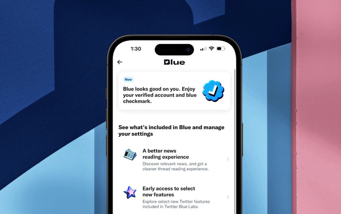 Elon Musk không muốn Twitter phụ thuộc quá nhiều vào quảng cáo Ảnh 2