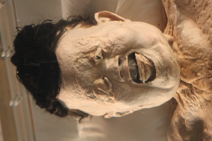 Bí ẩn xác ướp 2.100 năm tuổi nằm sâu dưới lòng đất vẫn 'tươi', còn nguyên tóc và máu trong tĩnh mạch Ảnh 3