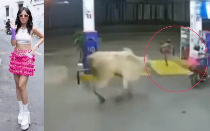 Nữ ca sĩ Vpop lên tiếng về tin đồn bị bò rượt khi chạy xe ngoài đường Ảnh 2