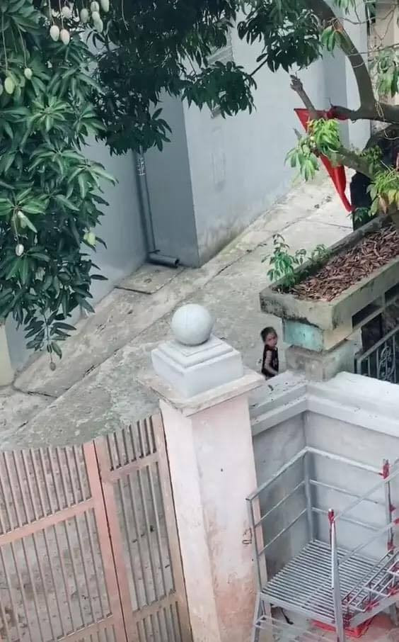 Dù được mẹ năn nỉ trở về nhưng cô bé nhất quyết không chịu, phải sang để mách với bà ngoại