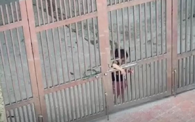 Cô bé nhỏ xíu cứ bị mẹ mắng là... bỏ về nhà ngoại khiến mẹ bất lực: Ai bảo lấy chồng gần là sướng! Ảnh 2