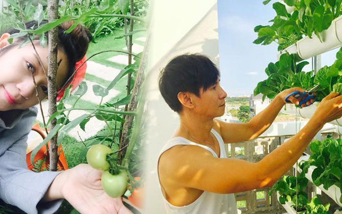 Sân vườn là nơi chụp ảnh yêu thích của Lý Hải - Minh Hà.