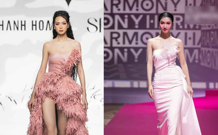 Cùng làm vedette: Bảo Ngọc nhận 'cơn mưa' lời khen, Phương Nhi bị chỉ trích Ảnh 2