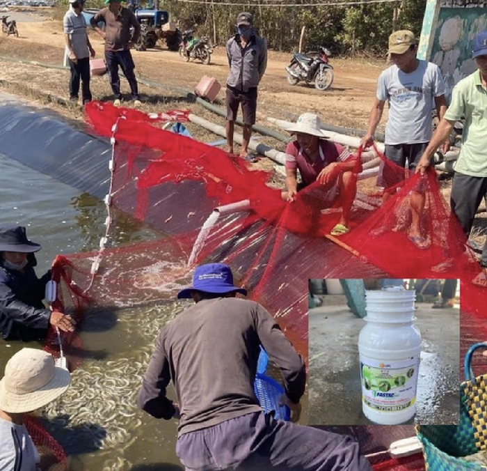 Người đàn ông đổ thuốc trừ sâu làm chết tôm thiệt hại 1,6 tỷ đồng vì nghi vợ... ngoại tình Ảnh 1