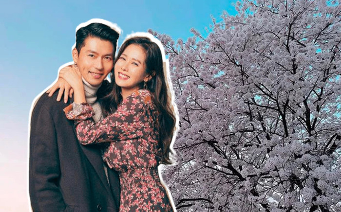 Son Ye Jin chăm đăng ảnh hậu ở ẩn sinh con, ông xã Hyun Bin mạnh tay tương tác phá tan tin đồn 'rạn nứt' Ảnh 2